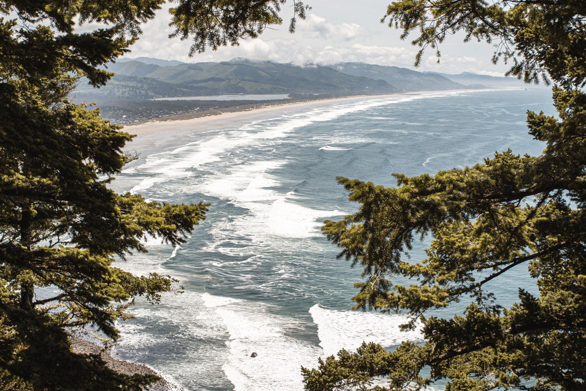 Short Sand Beach Oswald West State Park Oregon fog through coastal forest trees