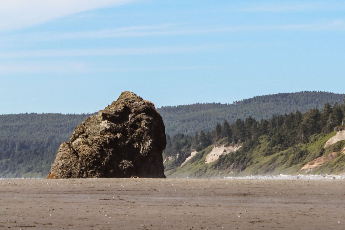 Face Rock Bandon Oregon sea stacks emerging from morning fog at low tide
