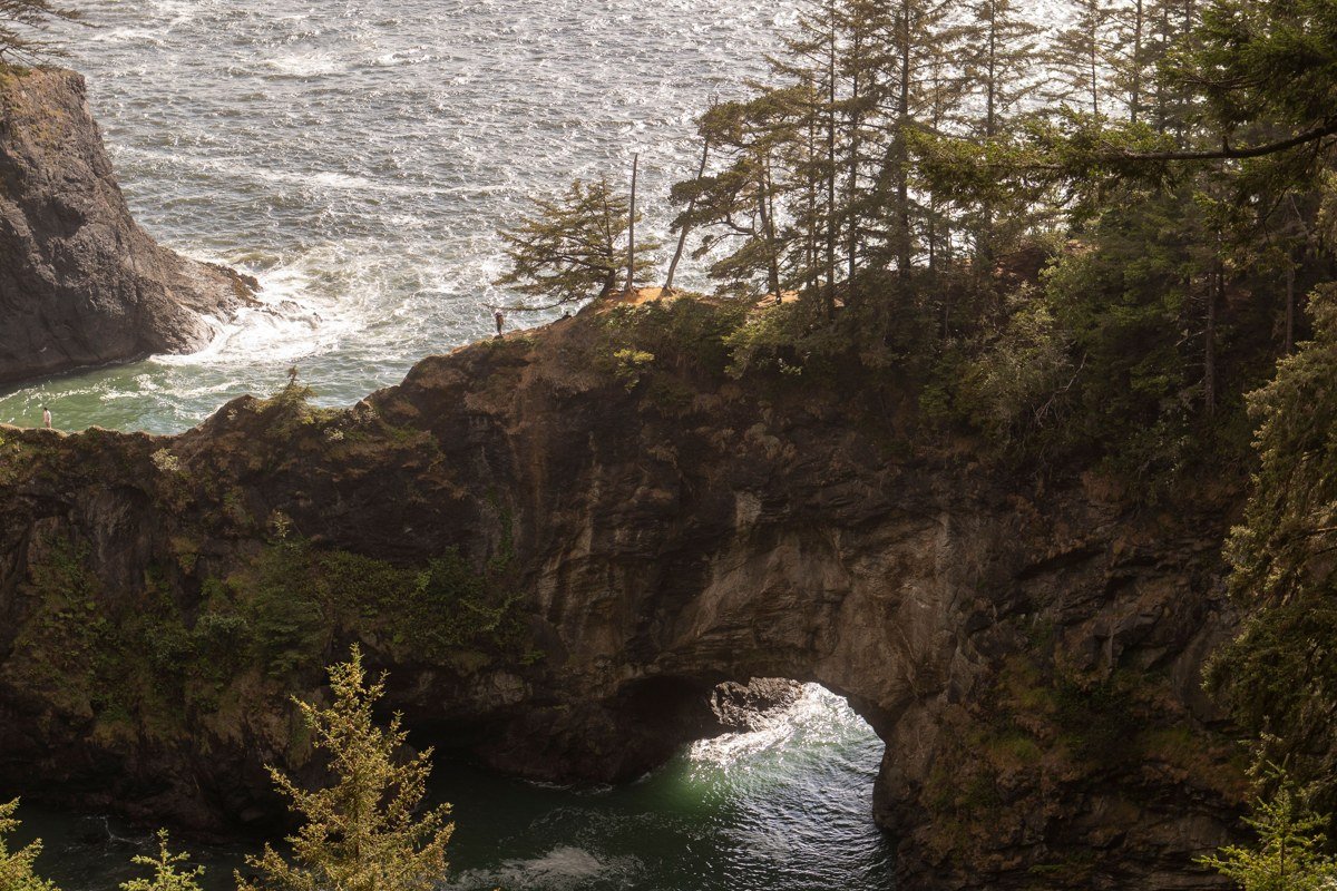 Natural Bridges viewpoint Samuel H Boardman State Scenic Corridor Oregon fog over sea arches