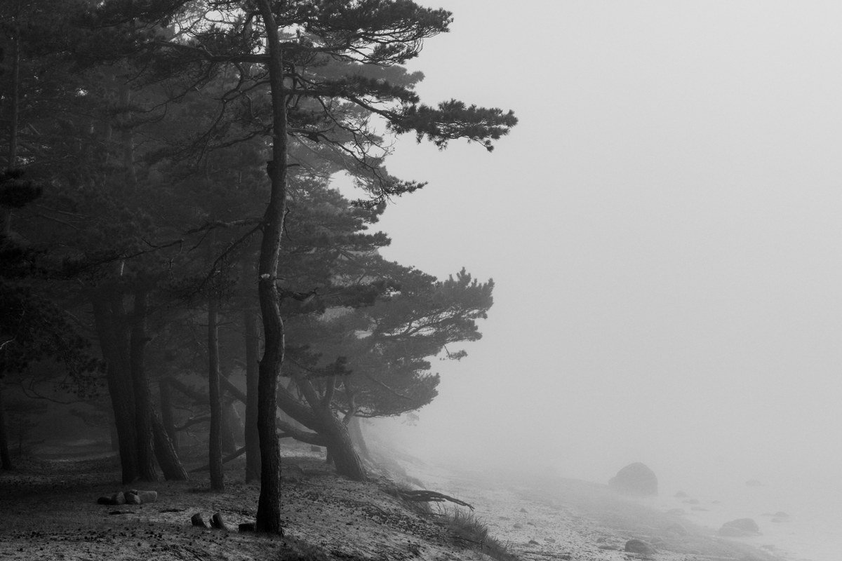wide misty coastline of Maine with pine-covered islands fading into fog