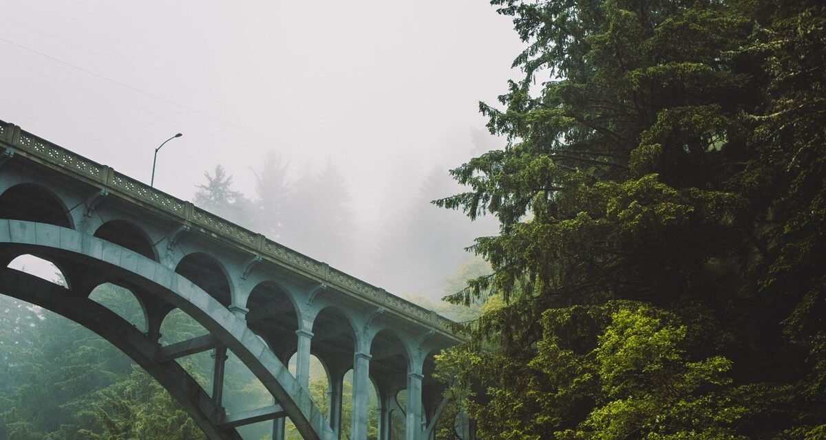 9 Pacific Northwest Road Trip Stops Where You Drive Straight Into a Cloud