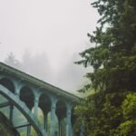 9 Pacific Northwest Road Trip Stops Where You Drive Straight Into a Cloud