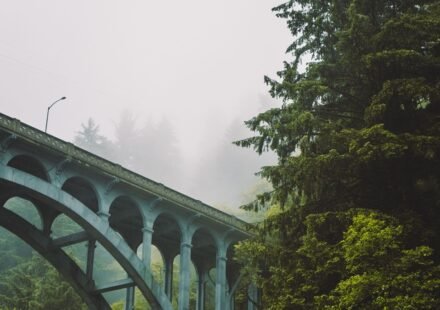 9 Pacific Northwest Road Trip Stops Where You Drive Straight Into a Cloud