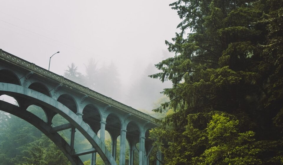 9 Pacific Northwest Road Trip Stops Where You Drive Straight Into a Cloud 9 Pacific Northwest Road Trip Stops Where You Drive Straight Into a Cloud