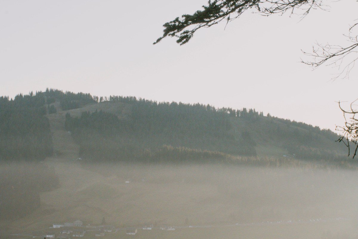 Artist Point Washington fog rolling over alpine meadow with Mount Baker obscured