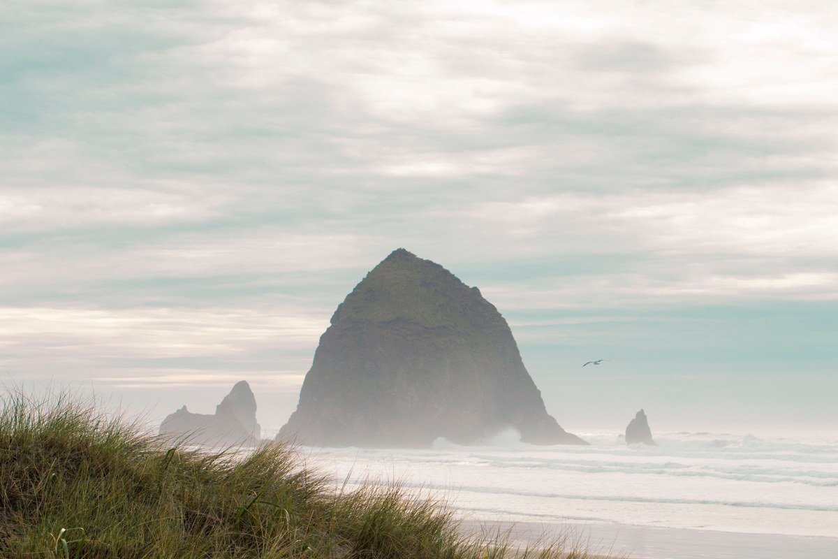 Ecola State Park Oregon coastal fog over Haystack Rock silhouette