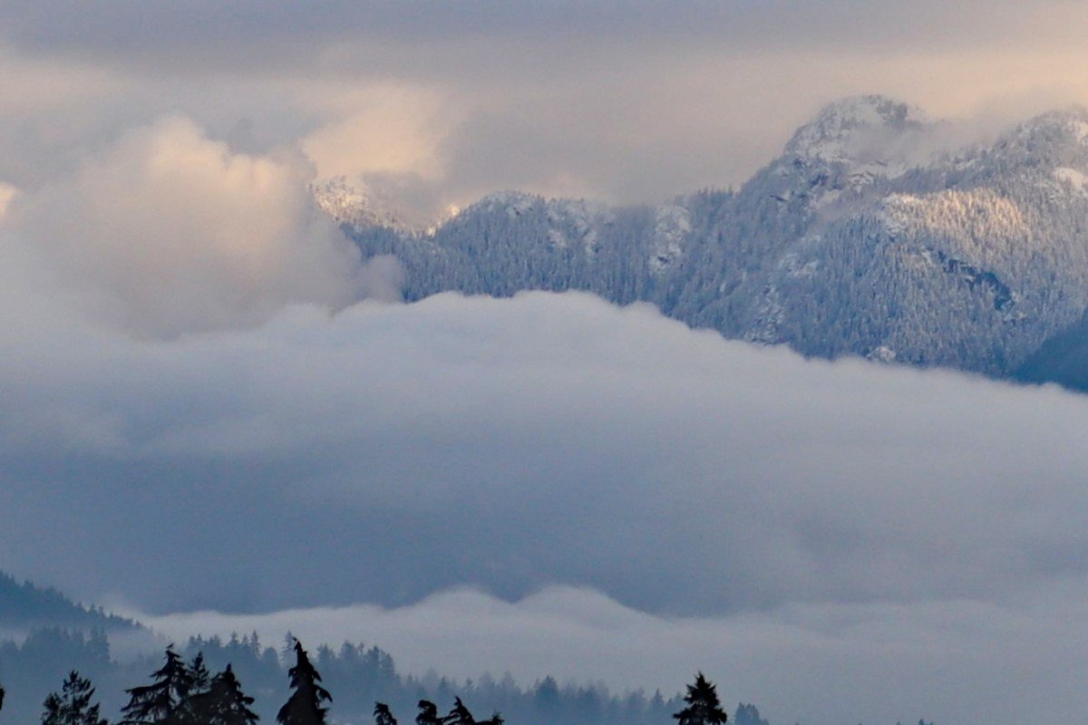 Larch Mountain Oregon overlook with fog filling the Columbia River Gorge below