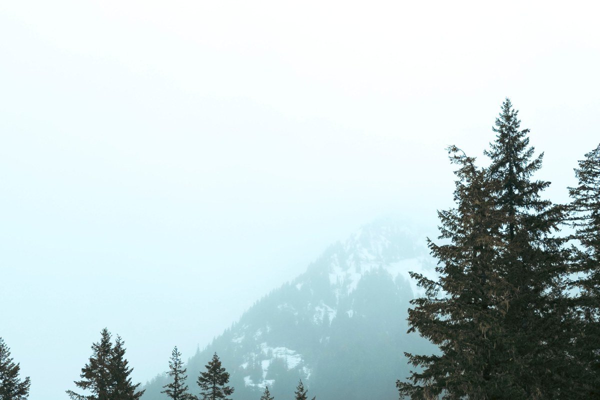 wide misty Pacific Northwest mountain highway disappearing into low cloud with evergreen forest on both sides