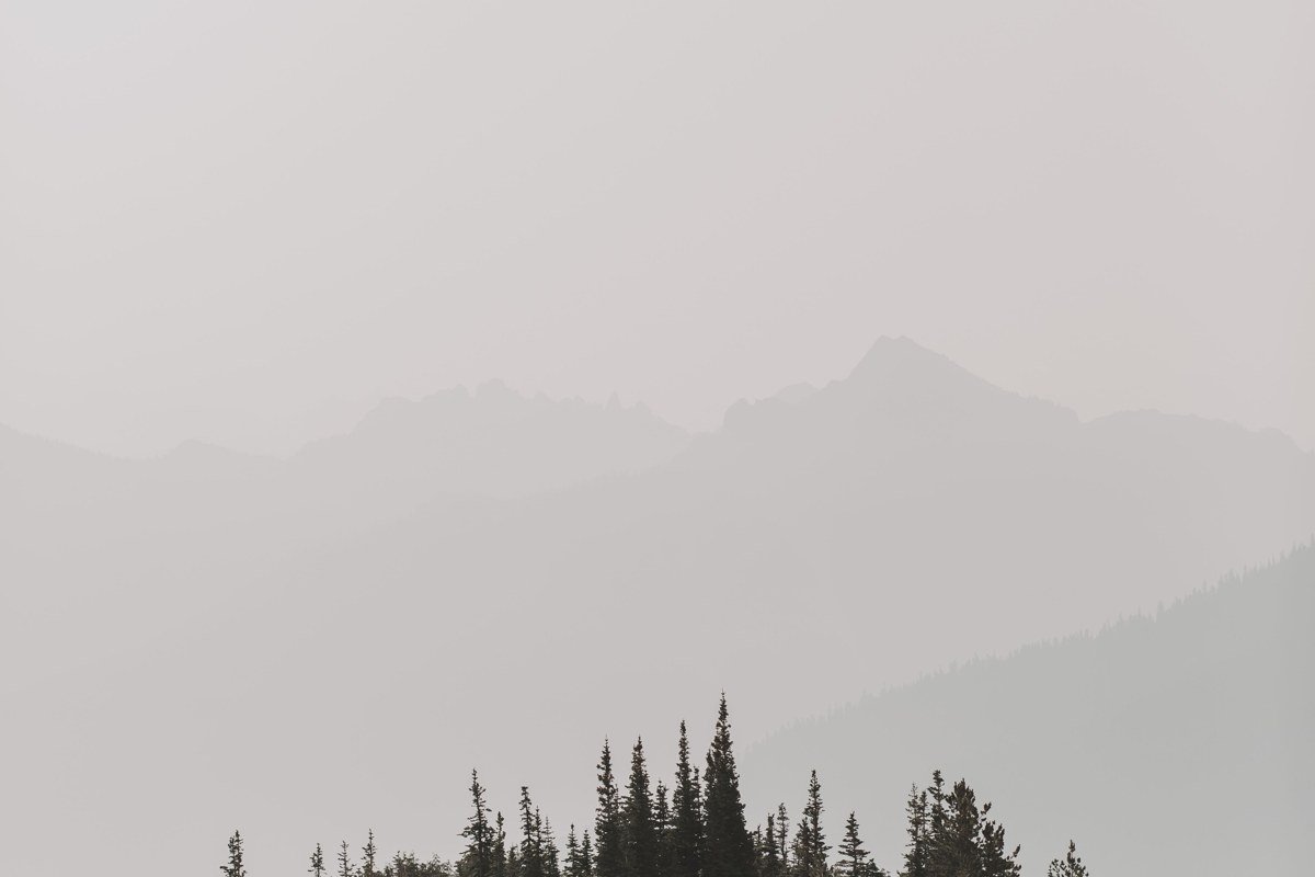 Windy Ridge Mount St. Helens Washington road through fog with volcanic ash landscape