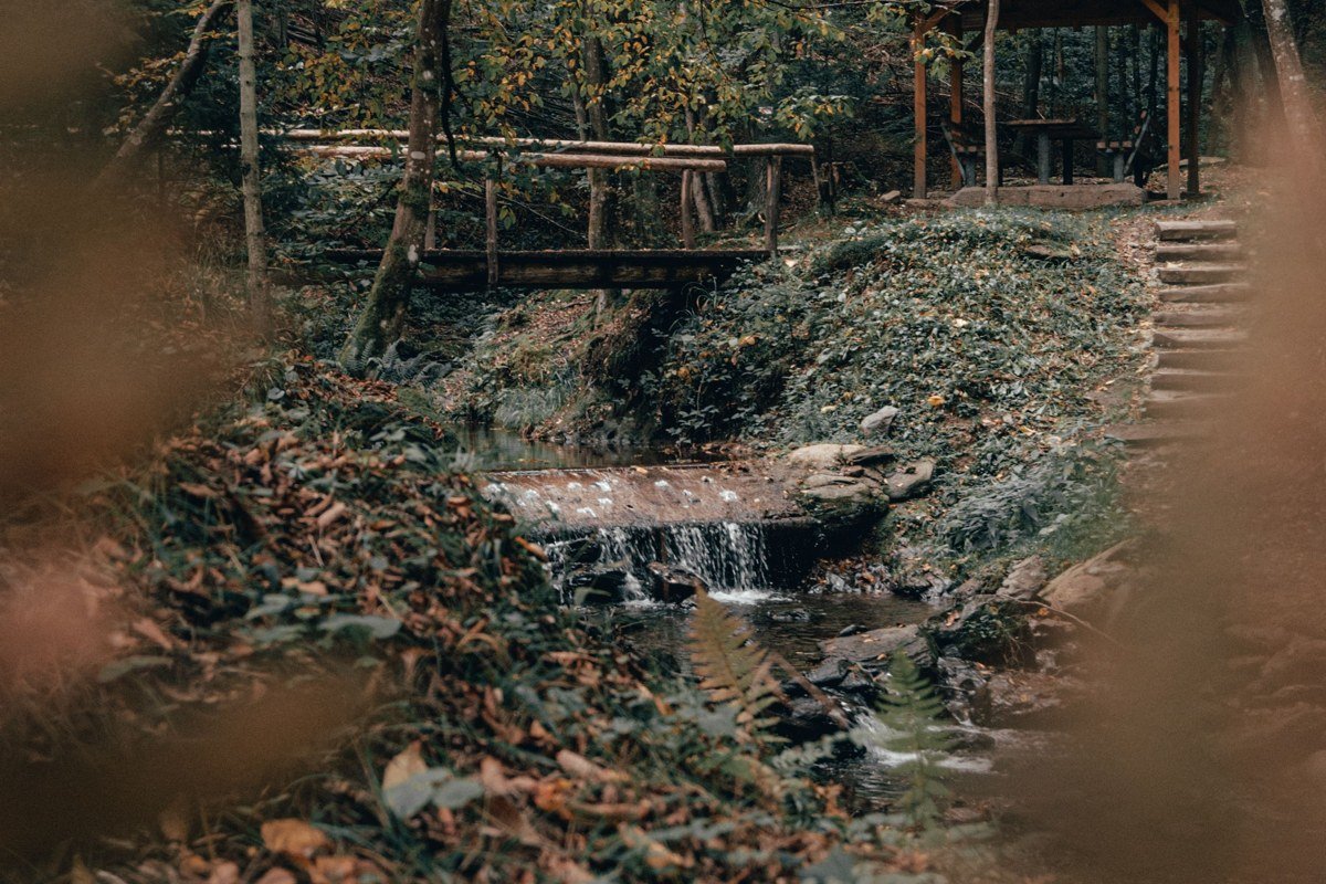 wide shot of a mountain cabin porch overlooking a clear creek surrounded by autumn trees in the Smoky Mountains
