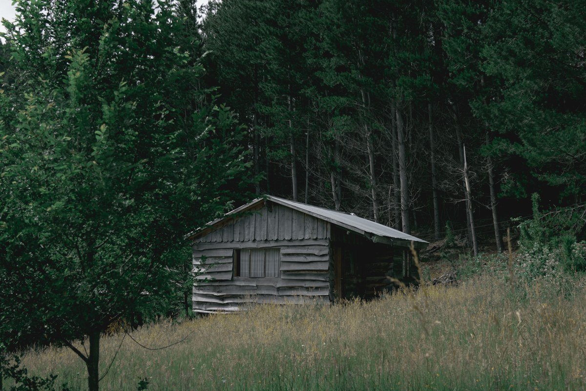 secluded cabin near Cataloochee Valley creek with elk grazing in a nearby meadow