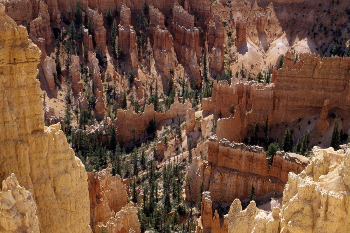 Needles Overlook Utah red rock spires with La Sal Mountains in background
