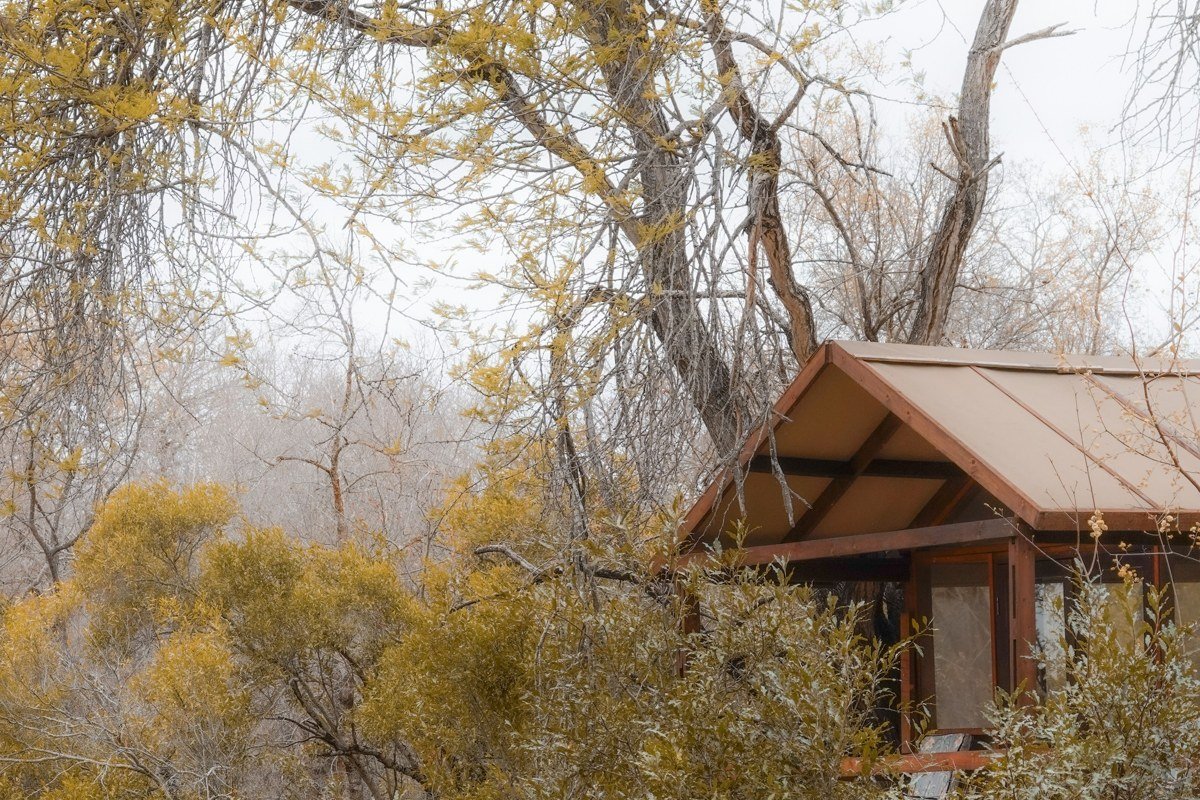 Wolfe Ranch historic cabin with cottonwood trees, Delicate Arch trailhead, Utah