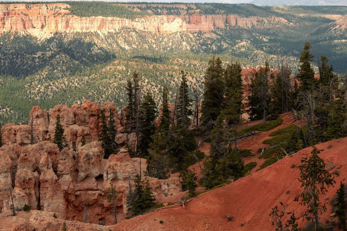 Bandelier National Monument New Mexico canyon cliff dwellings among pine trees