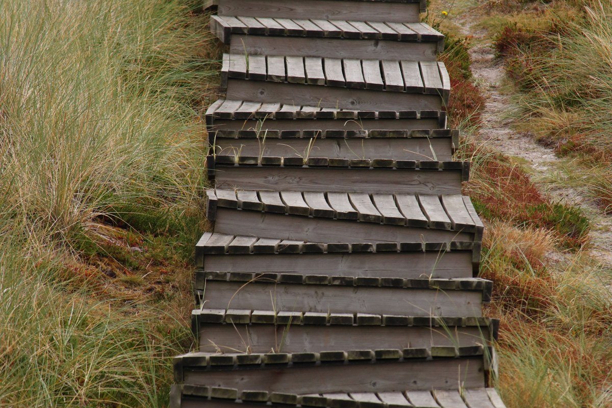a wooden staircase descending a grassy bluff toward the water, no one visible on the steps