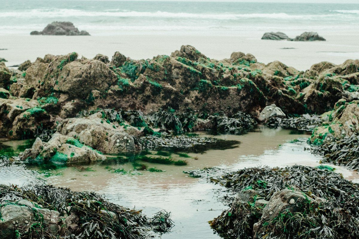 Jade Cove Big Sur California rocky shoreline with tide pools and green stone