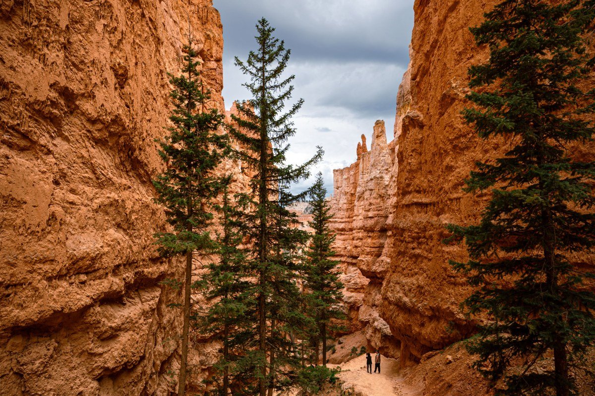Bryce Canyon Sunrise Point overlook at golden hour with visitors on rim trail