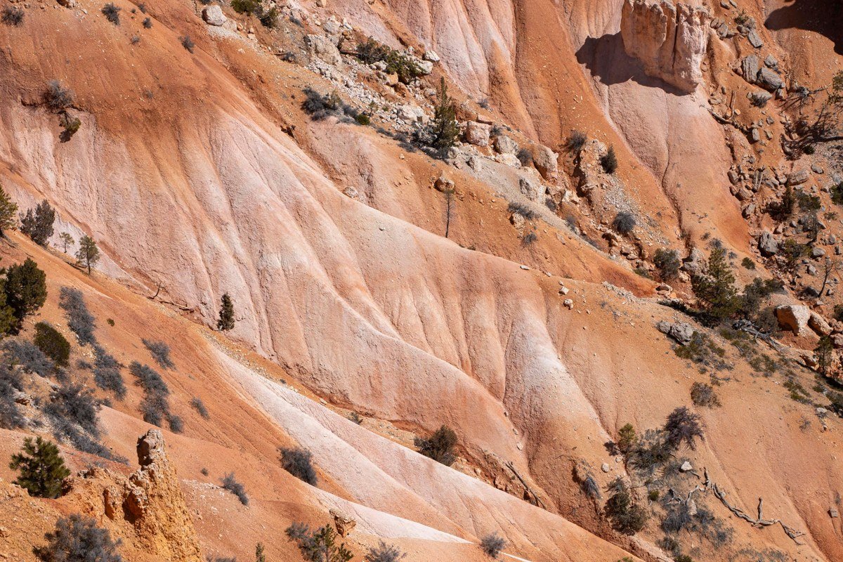 Sunset Point Bryce Canyon fresh snowfall dawn empty overlook nobody