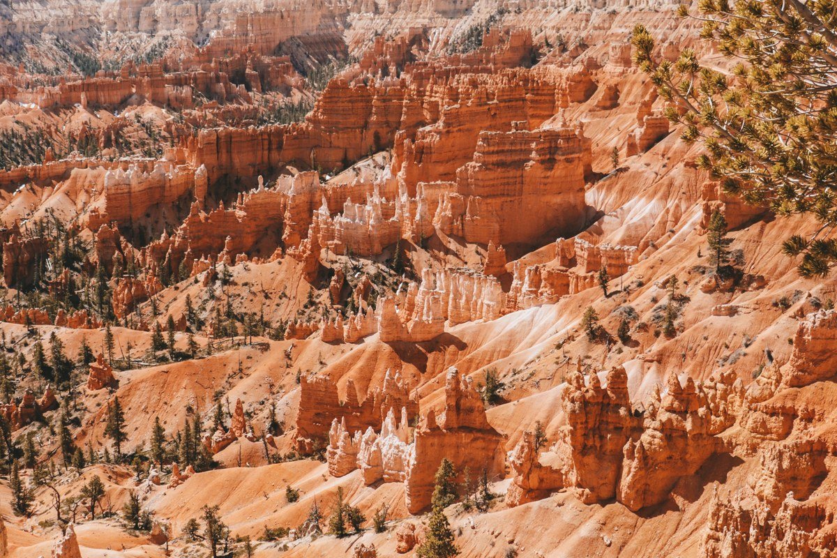 wide scenic view of red and orange hoodoo rock formations along a southern Utah canyon byway at sunset