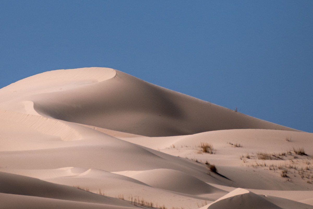 Coral Pink Sand Dunes State Park Utah wind-rippled pink sand against blue sky
