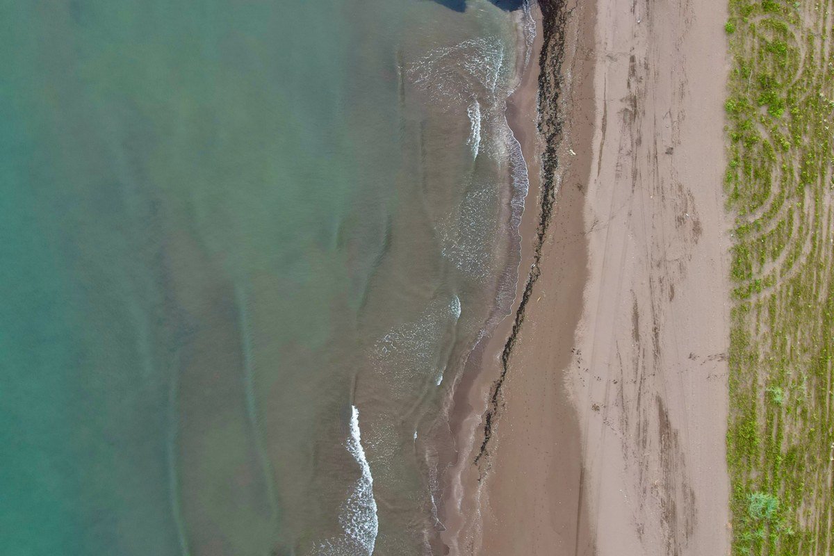 aerial view of Cape Cod coastline with dunes, beach grass, and Atlantic surf
