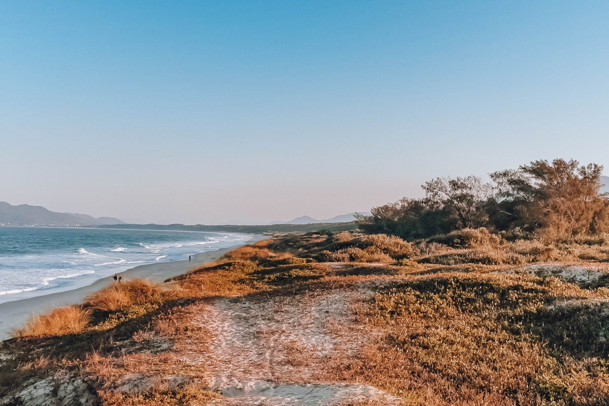 Cape Cod National Seashore dune trail overlooking a wide empty beach and blue Atlantic water