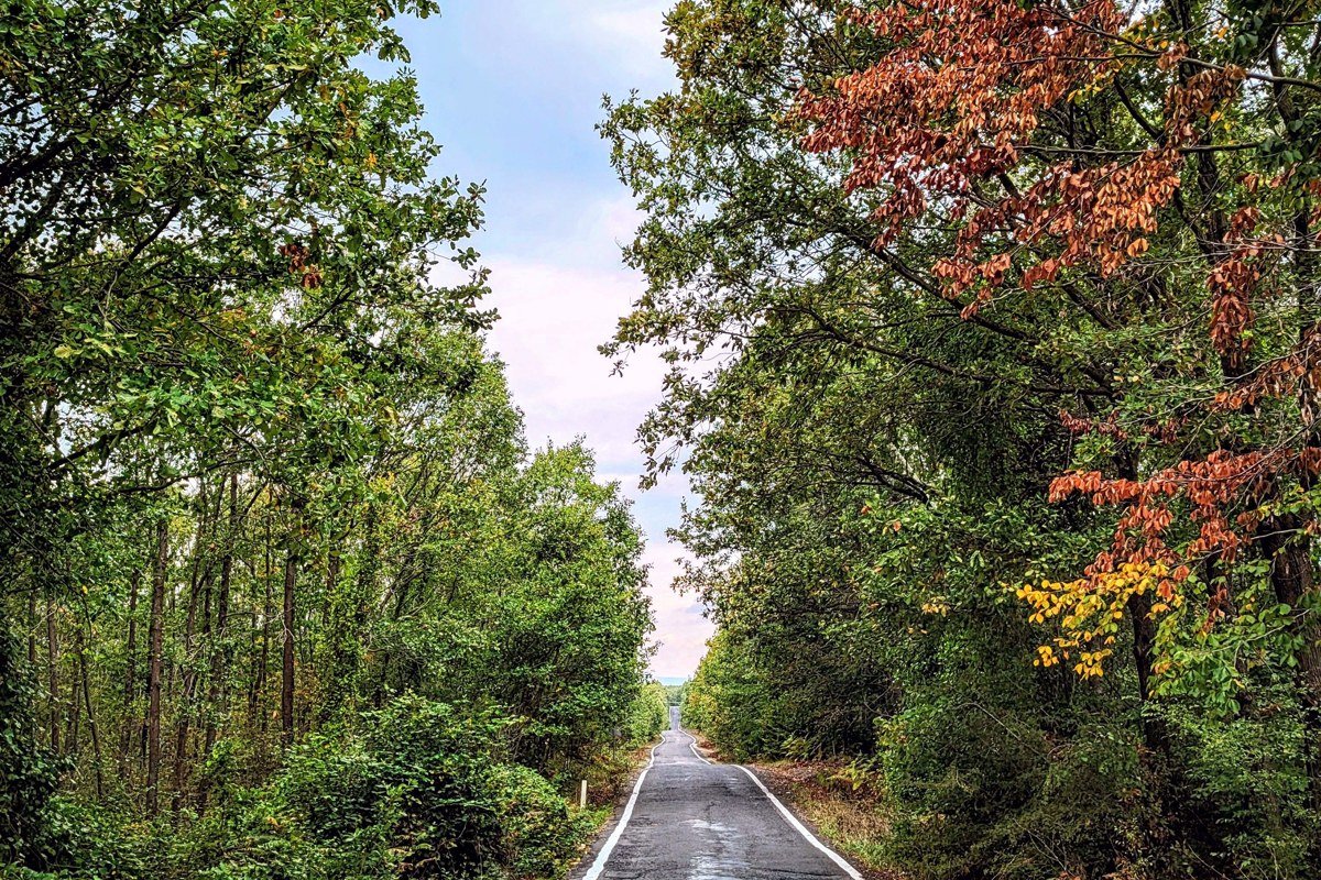 Falmouth Shining Sea Bikeway along the coast with fall colors and cranberry bogs nearby