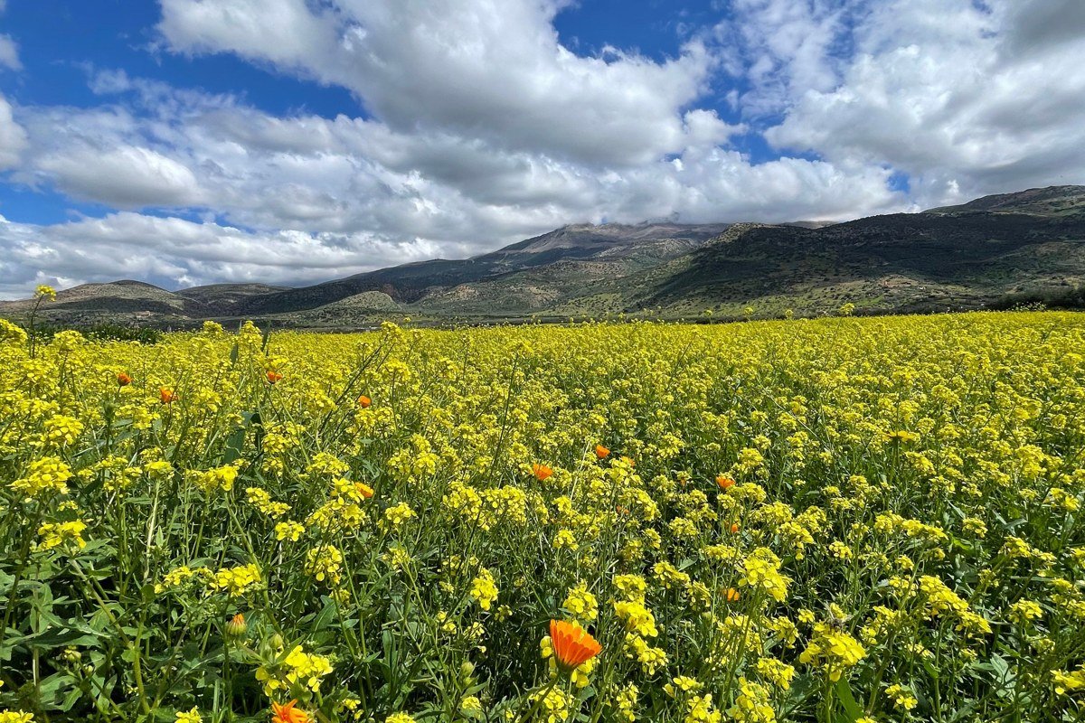 raft floating the Yampa past open ranchland and wildflowers outside Steamboat Springs