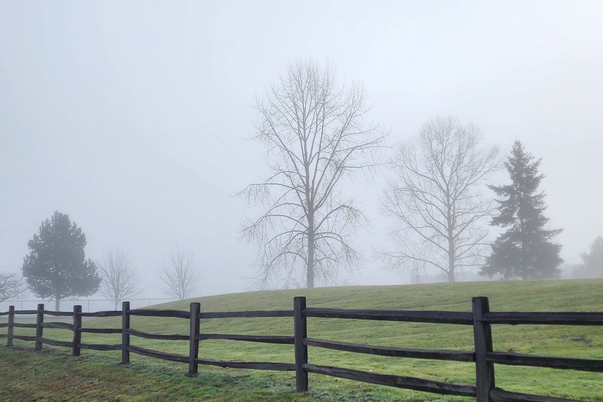 fog pooling over green valley floor of Cades Cove Tennessee with silhouetted split-rail fence in foreground