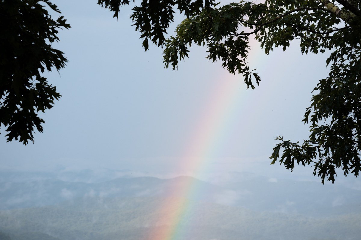Newfound Gap overlook at sunrise straddling Tennessee North Carolina state line with fog filling valleys below