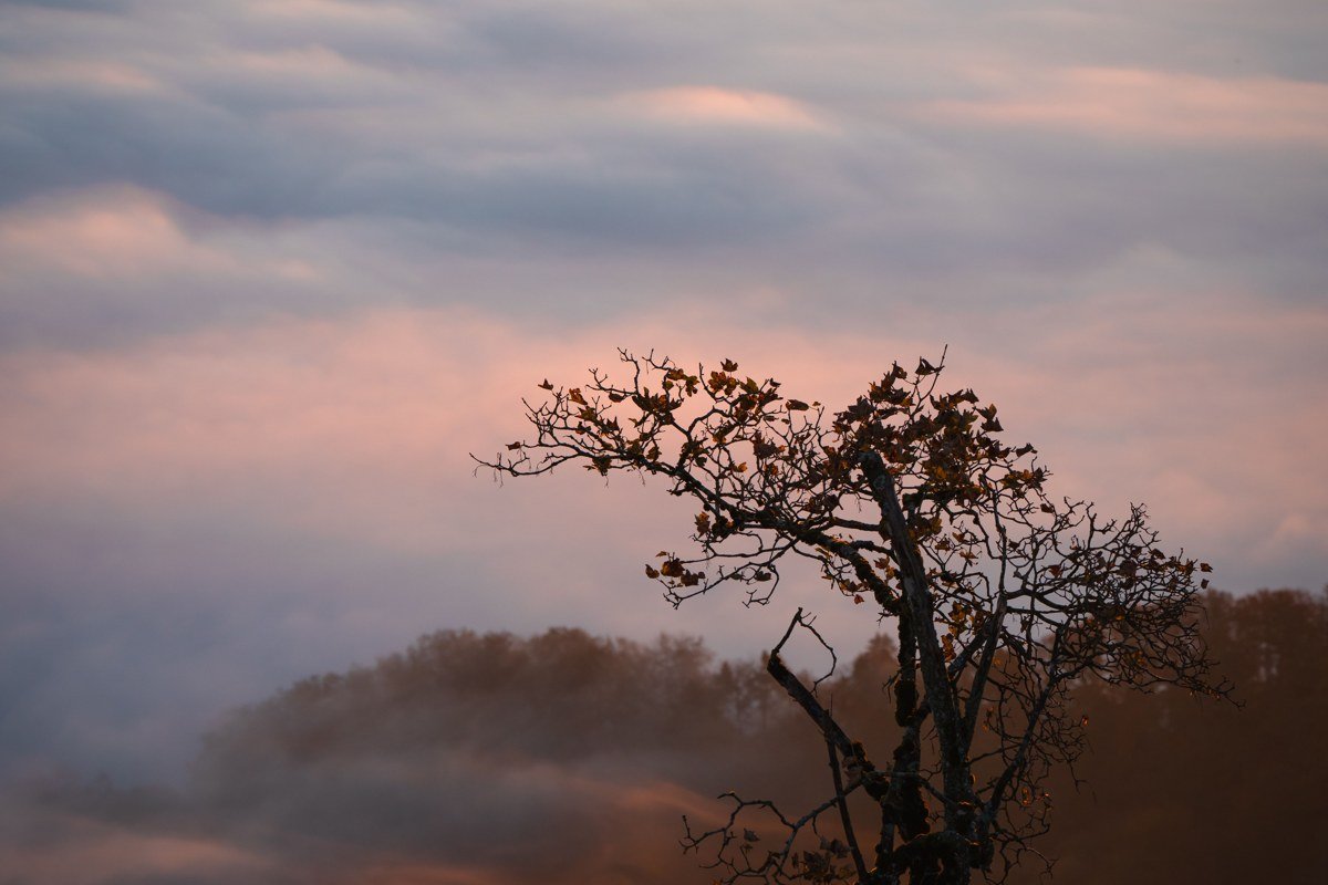 Clingmans Dome observation tower silhouette above sea of clouds and fog at sunrise