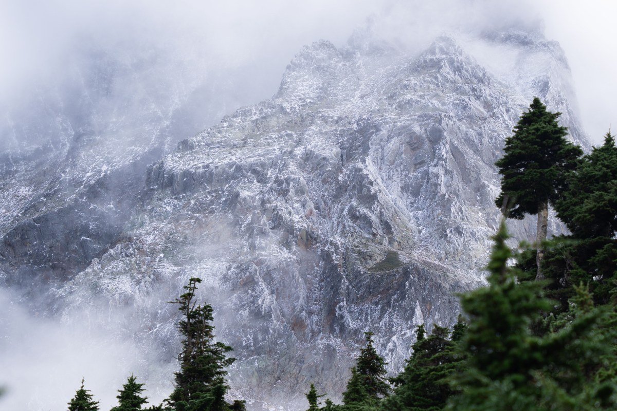 North Cascades Highway Washington mountain peaks emerging from fog above a valley of evergreen forest
