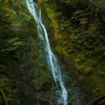 Foggy Mornings on the Olympic Peninsula: 8 Spots Where the Trees Turn to Ghosts