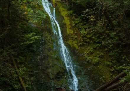 Foggy Mornings on the Olympic Peninsula: 8 Spots Where the Trees Turn to Ghosts