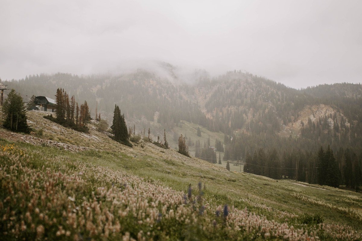 Hurricane Ridge Olympic National Park fog rolling over mountain meadow at sunrise