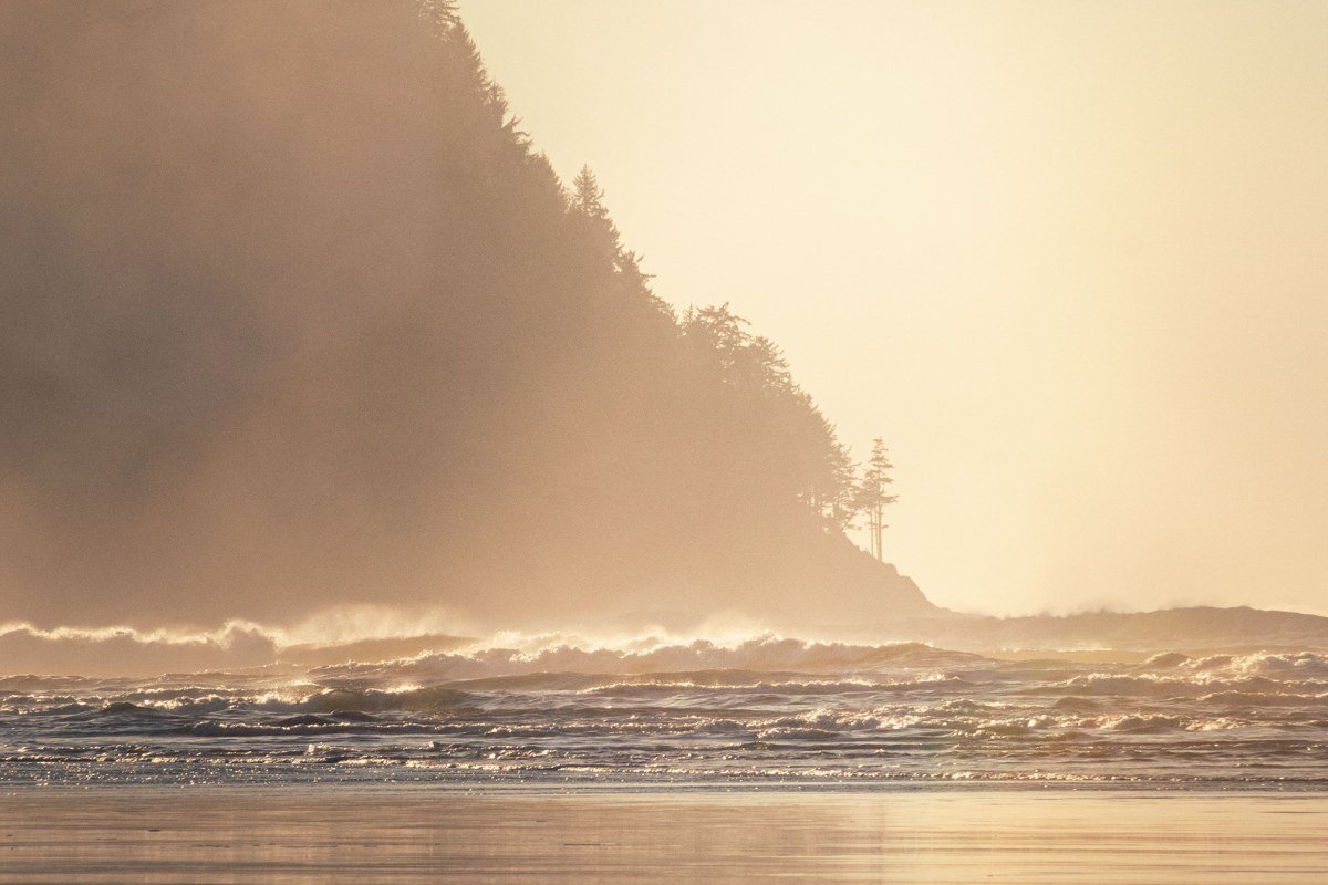 Olympic Peninsula coastline fog over sea stacks at dawn wide scenic view