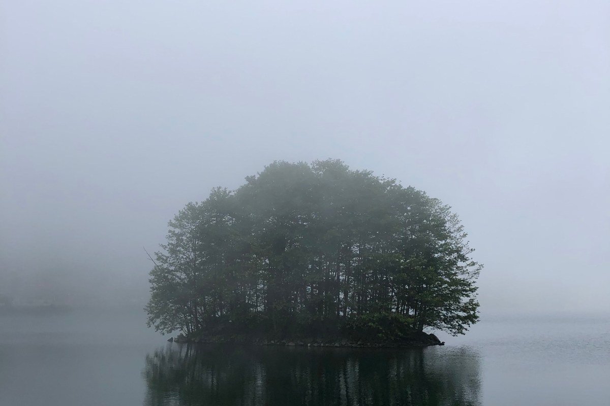 Lake Quinault Olympic National Park rainforest reflection in morning fog