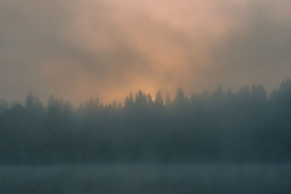 Hood Canal Olympic Peninsula morning fog over water with mountain backdrop