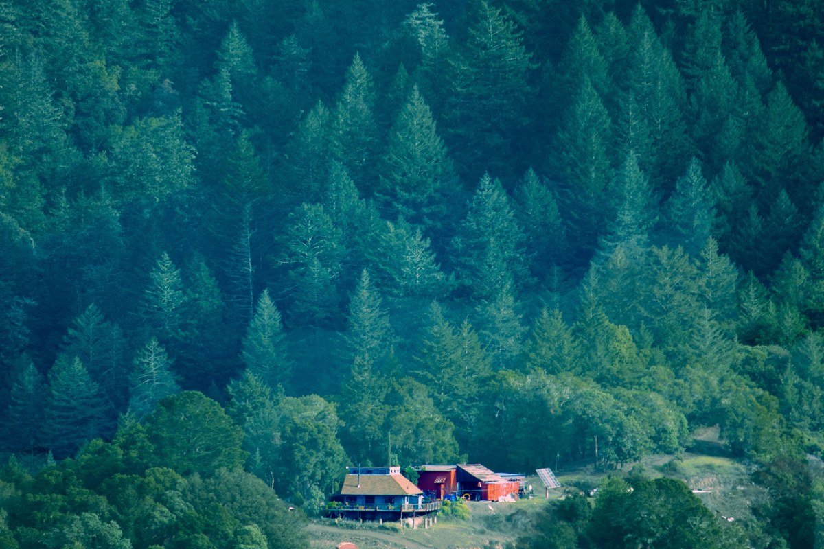 Tahoma California lakefront cabins nestled among tall pine trees