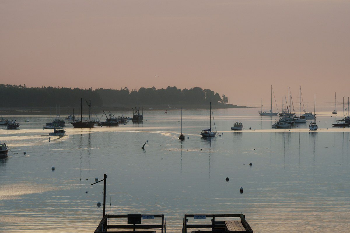 Point Defiance Park Tacoma Puget Sound fog rolling over water at dawn