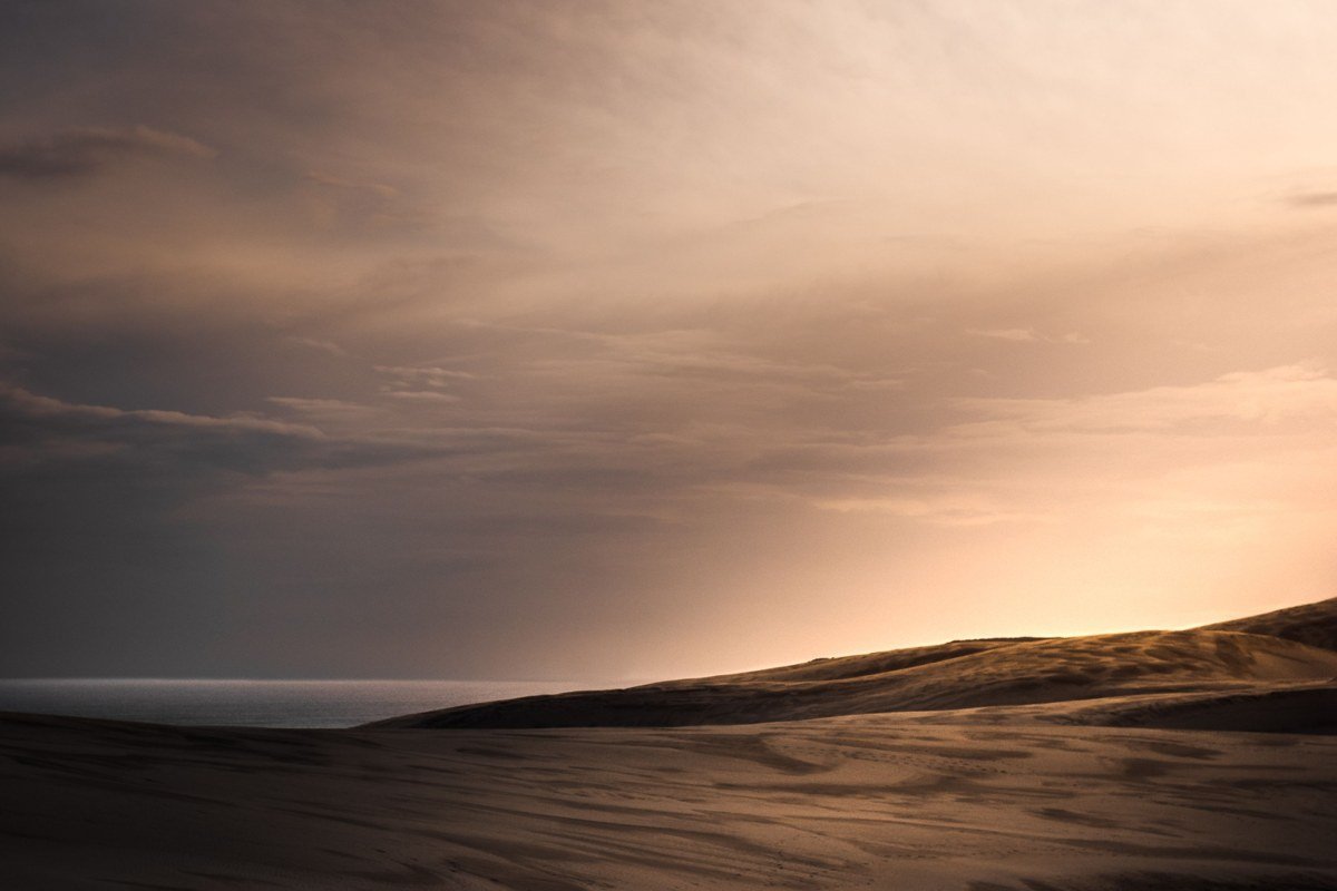 Oregon Dunes near Florence with fog drifting low over the sand at dawn