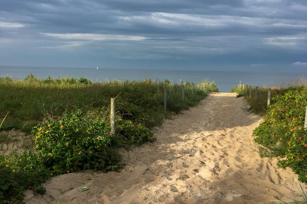 empty off-season beach Outer Banks North Carolina with dune grass and overcast sky