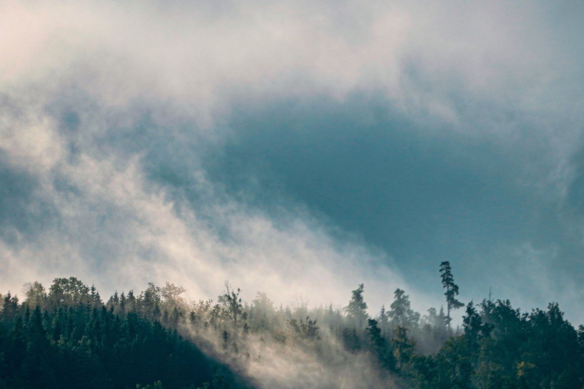 Morton Overlook Newfound Gap Road sunset and sunrise light through fog with mountain silhouettes