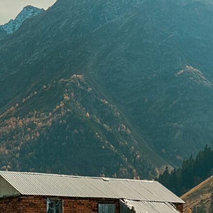 The Best Creek Areas Near Smoky Mountain Cabins, Month by Month