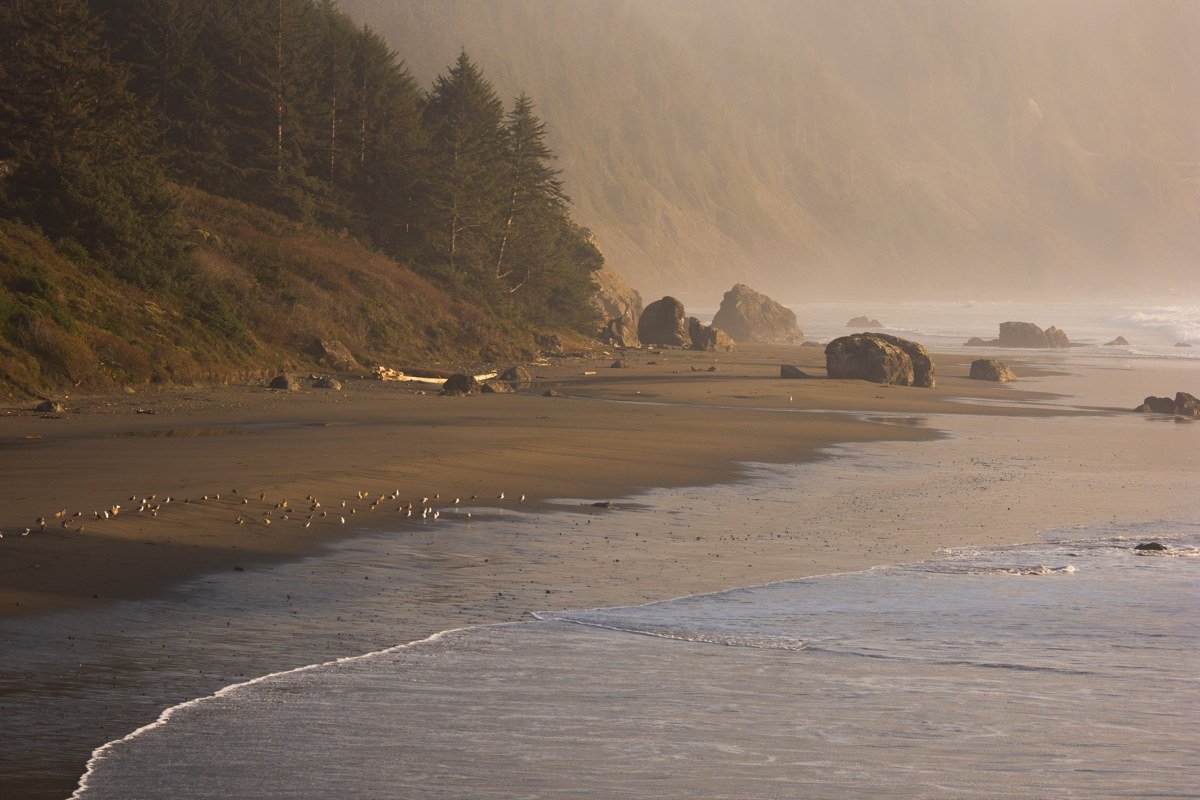 Haystack Rock at Cannon Beach Oregon partially obscured by rolling fog