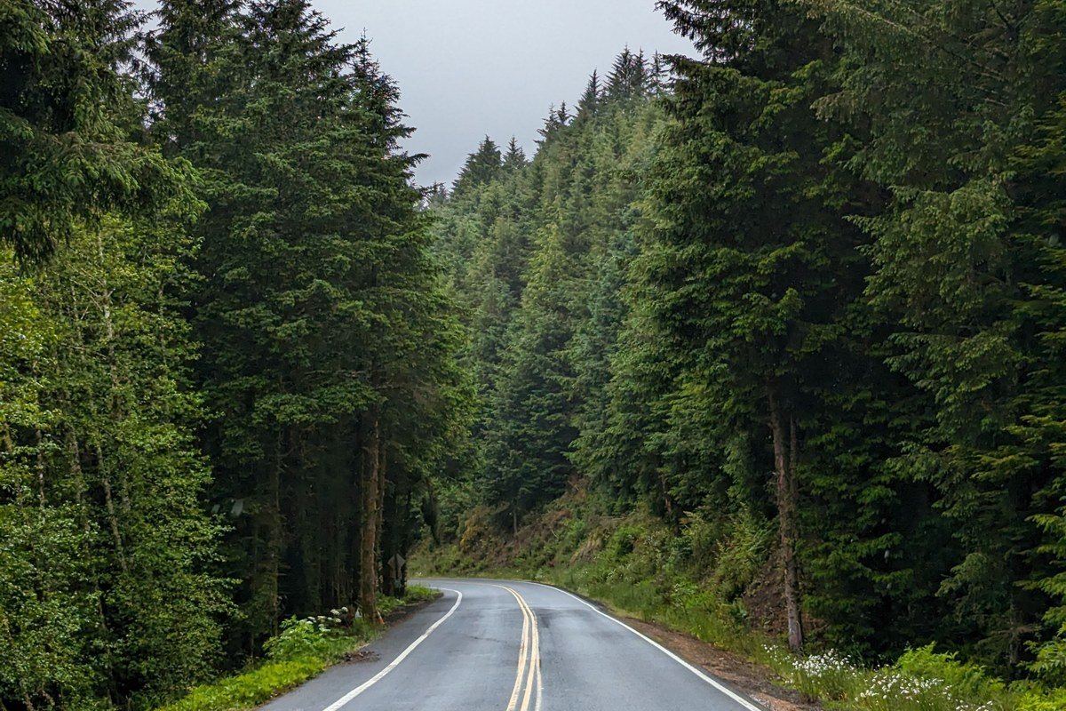 wide misty panorama of the Oregon Coast highway 101 with sea stacks and fog layered along the shoreline