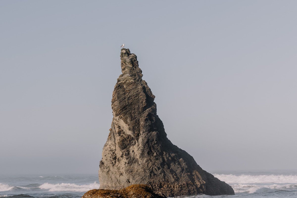 Bandon Oregon Face Rock sea stacks emerging from thick fog at low tide