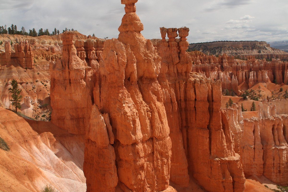 hundreds of mushroom-shaped orange rock hoodoos scattered across the desert floor at Goblin Valley State Park Utah