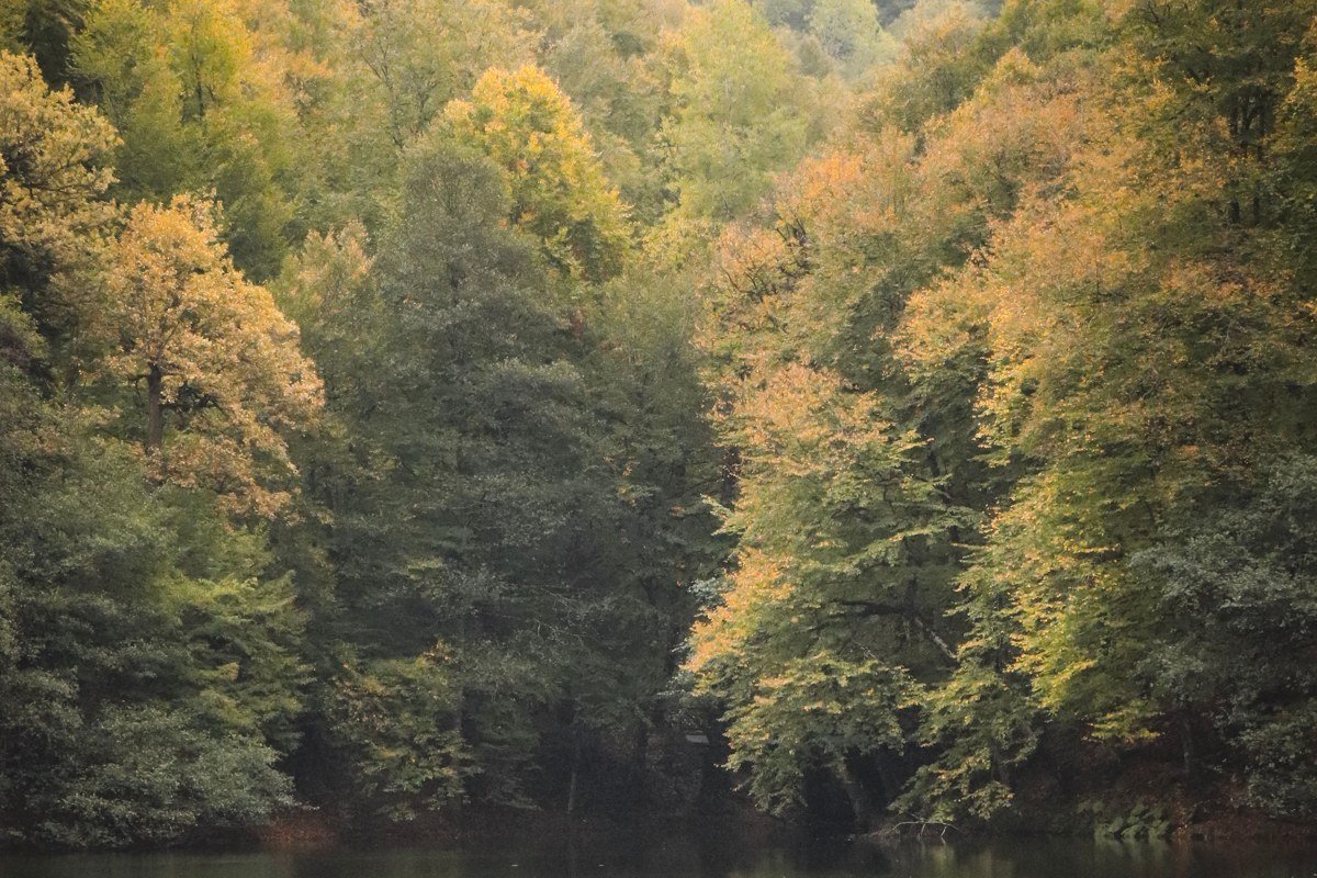 Lake Dunmore Vermont with Green Mountain National Forest foliage reflected at dawn
