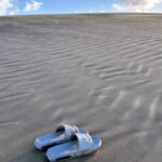 White Sands at Golden Hour: 8 Dunes Where the Light Turns Pink